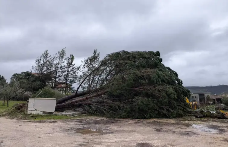 Mais de 30% da população de Ourém ainda sem luz 